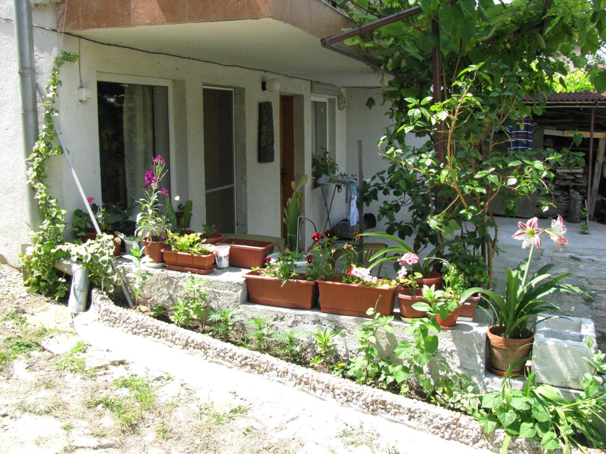 Guest House Familia Samovodene Exterior foto